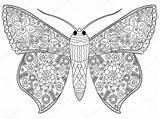 Kleurplaat Vlinder Volwassenen Kleurplaten Vlinders Stockillustratie Stockvector Adults sketch template