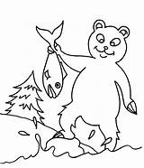 Urs Smokey Colorat Oso Planse Desene Osos Animale Salbatice sketch template