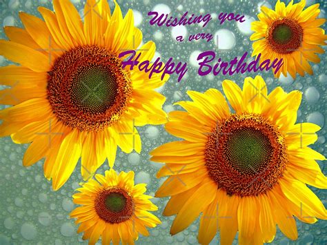 happy birthday sunflowers  susan  kline redbubble