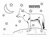 Coloring Joshua Tree National Park Coyote Animals Worksheet Designlooter Preschool 270px 54kb Choose Board Sheets Worksheets sketch template