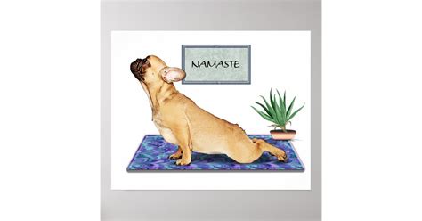 french bulldog  upward dog yoga pose poster zazzlecomau