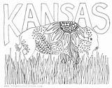 Kansas Fromvictoryroad Kc Undercover Wichita Book sketch template