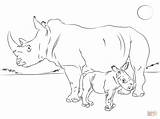 Pages Coloring Rhino Baby Cute Mother Drawing Printable sketch template