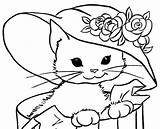 Kitten Pages Coloring Miss Pretty Javanese Kitty sketch template
