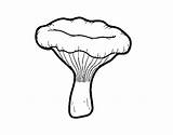 Cantharellus Seta Chanterelle Disegno Rossinyol Colorear Cogumelo Desenho Dibuix Fungo Acolore Dibuixos Mushroom Pngwing sketch template