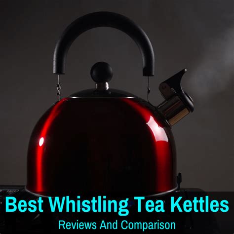 whistling tea kettles efficient durable  inexpensive