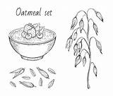 Oatmeal Line Oats Muesli Oat Food Premium Flake Grain Ear Porridge Engraved Milk Breakfast Bowl Fruit Sketch Healthy Icon Sweet sketch template