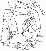 Jesus Praying Coloring Pages Miracles Color Colorig Because Garden Printable Colorluna Christ Sunday School Getcolorings Luna Lds Getdrawings sketch template