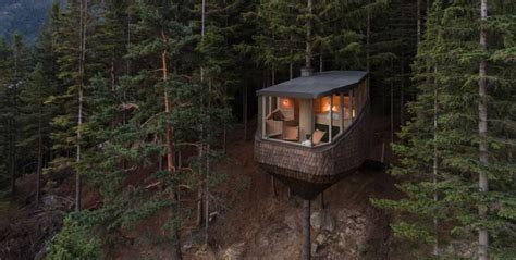 woodnest treehouse built  helen hard    rent