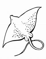 Sea Stingray Ray Paintingvalley Manta Clipartmag sketch template