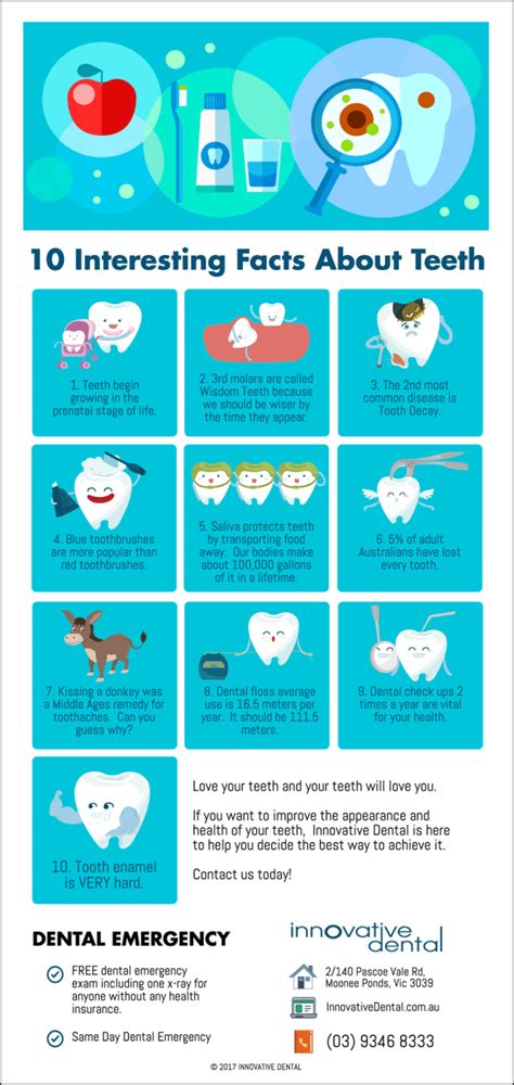 10 Interesting Facts About Teeth Innovative Dental