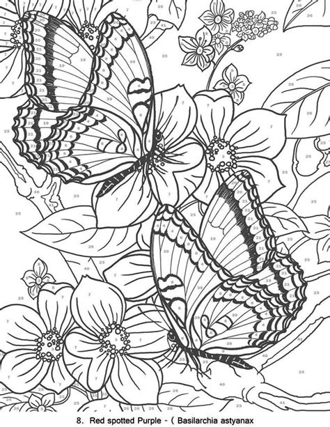 coloring page  butterflies  flowers
