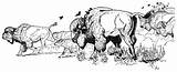 Herd Buffalo Wildlife sketch template
