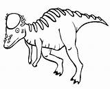 Coloring Pachycephalosaurus Pages Template Dinosaur sketch template