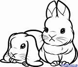 Coloring Pages Cartoon Rabbit Color Bunny Getcolorings sketch template
