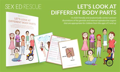 Let’s Look At Different Body Parts Sex Ed Rescue