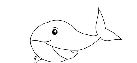 blue whale coloring pages whale coloring pages blue coloring pages