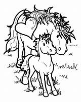 Coloring Pages Horses Horse Colouring Kids Choose Board Together sketch template