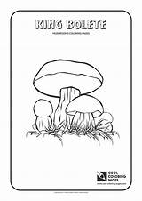 Coloring Pages Mushroom Bolete King Cool Mushrooms Print Getcolorings Printable sketch template