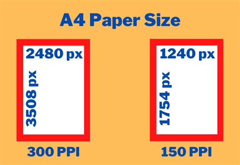 paper size  pixels rbizexposure