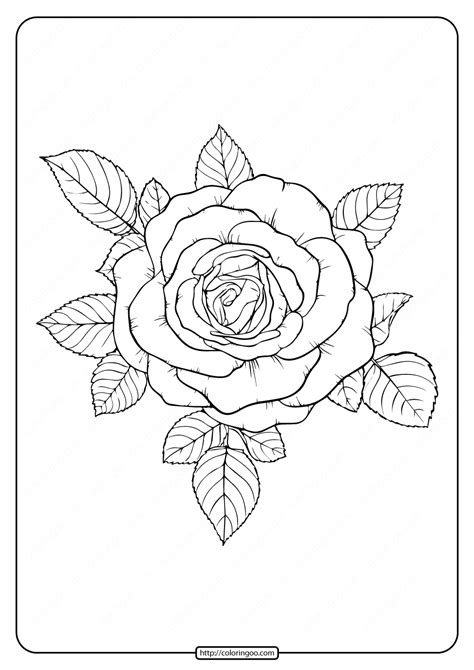 printable coloring sheet flower coloring pages png  update