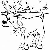 Reindeer Coloring Pages Christmas Colour Funny sketch template