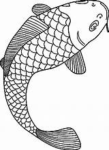 Coloring Fish Pages Koi Fishing Realistic Bass Outline Boat Printable Coy Drawing Lure Adults Carp Coloring4free Template Angel Colouring Color sketch template