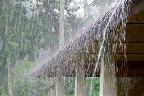 imd issues rain flash flood warning  north bengal dists
