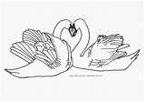 Coloring Swans Swan Duck Pages Heartshaped Coloringbay Popular Kids sketch template