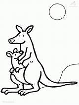 Kangaroo Coloring Pages Library Clipart Colour sketch template