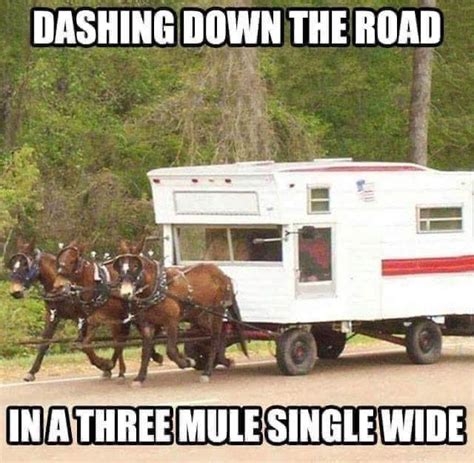 Funny Camping Photos And Memes Of The Week Rv Travel