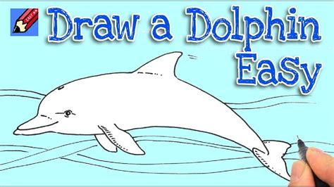 draw  dolphin real easy youtube
