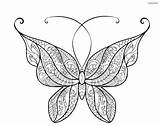 Mariposa Mariposas Imagen Cómo sketch template