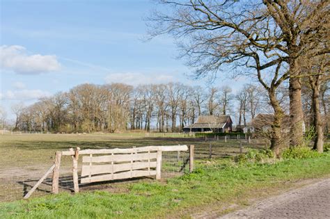 nederlands weiland met boerderij en omheining stock afbeelding image