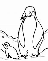 Penguin Coloring Emperor Penguins Printable Baby Pages Clipart Animal Arctic Cute Cartoon Print Cliparts Template Kids Jam Wolf Colouring Swim sketch template