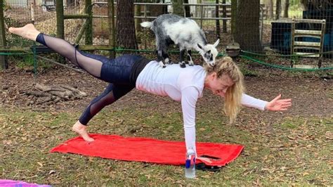 Jacksonville Farm Offers Goat Yoga Classes
