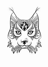 Lynx Adulte Sauvage Chat Luchs Coloriages Sauvages Clipartmag Inspirant Vous élégant Gratuitement Abrir Ausmalen Creapassions Imprimé sketch template