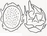 Pitaya Coloring Pages Fruit Dragon Fruits Avocado Basket Onlinecoloringpages Print sketch template