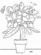 Rododendro Fiore sketch template
