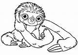 Sloth Perezoso Oso Croods Popular Colorluna Malvorlagen Adults Getcolorings Tattooimages Uncolored sketch template