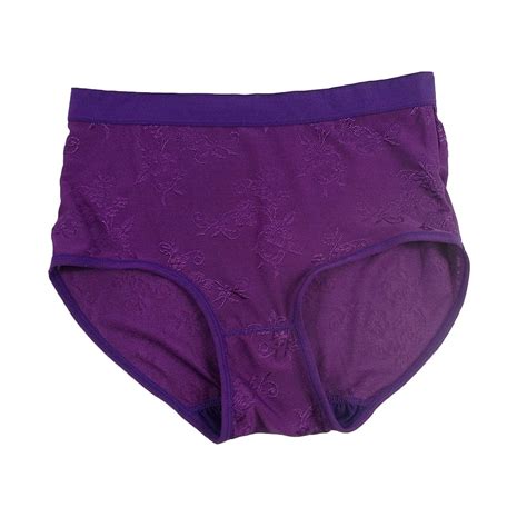 Buy Lingerie Purple Plain Panties Briefs Sheer Nylon Underwear For