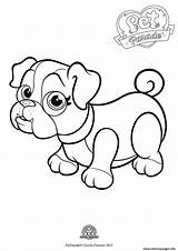 Dog Coloring Cute Parade Pages Bouledogue Pet Printable sketch template