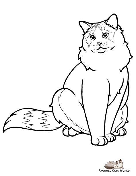printable ragdoll cat coloring pages