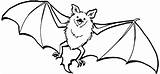 Bat Clipartbest Bats sketch template