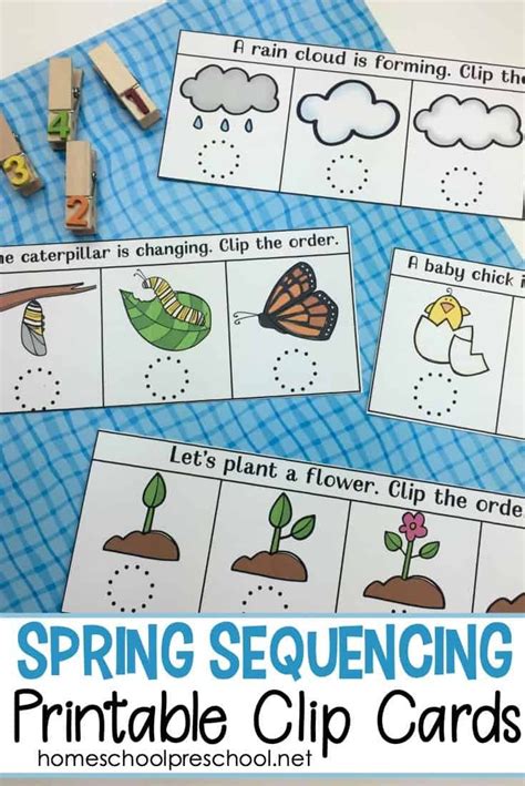 sequencing worksheet  kindergarten  preschool printables