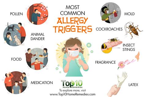 common allergy triggers top  home remedies