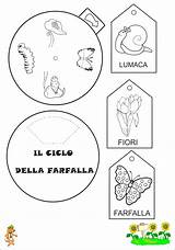 Lapbook Didattiche Ciclo Farfalla Attività Bruco Schede Vitale Infanzia Farfalle Imparaconpoldo Imparare Asilo Schemi Geografia Artigianato Caterpillar Oggettistica Scienza Poldo sketch template