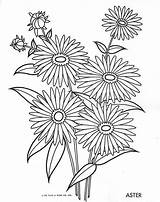 Aster Quilter Qisforquilter Daisies sketch template