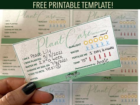 printable plant care tags  garden lovers club