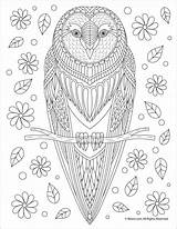 Coloringbay Owls sketch template